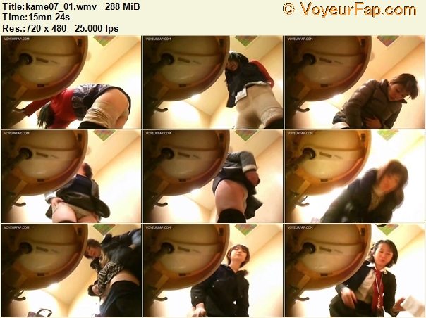 Kame Toilet 07