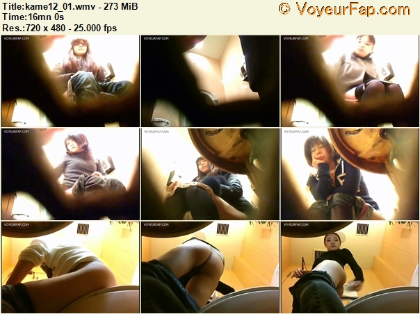 Kame Toilet 12