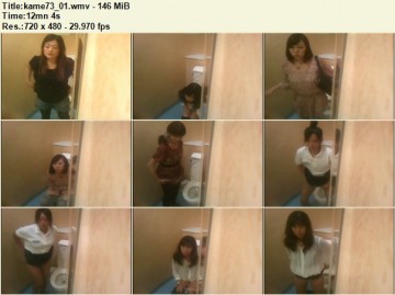 Kame Toilet 73