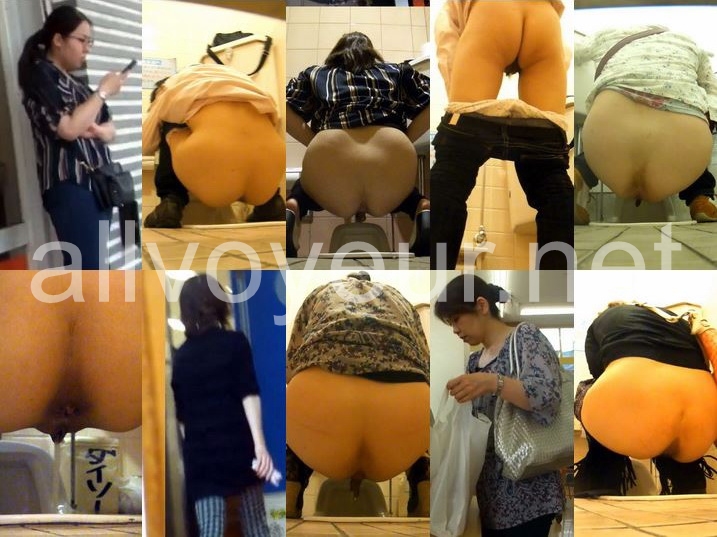 15262074 H-V Japanese toilet style.No145