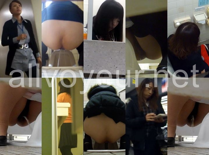 15263371 H-V Japanese toilet style.No150 OL編