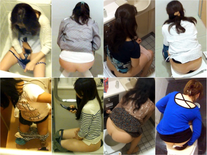 Hi-Vision Japanese toilet style.No,120