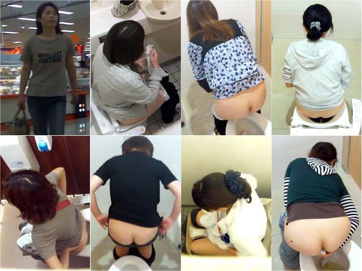 Hi-Vision Japanese toilet style.No,120