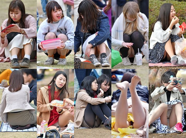 GCOLLE 2019年 お花見特集 第５弾