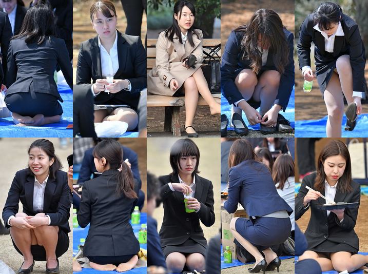 vol.534：2019年 お花見特集 第