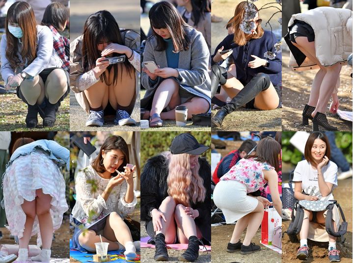 vol.534：2019年 お花見特集 第