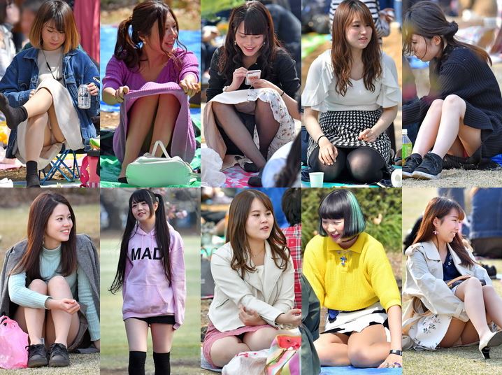 vol.534：2019年 お花見特集 第