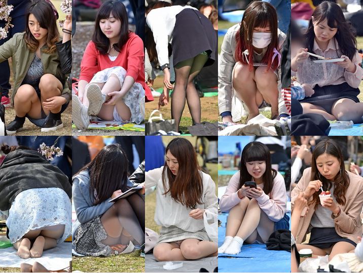 2016年 お花見特集 第４弾