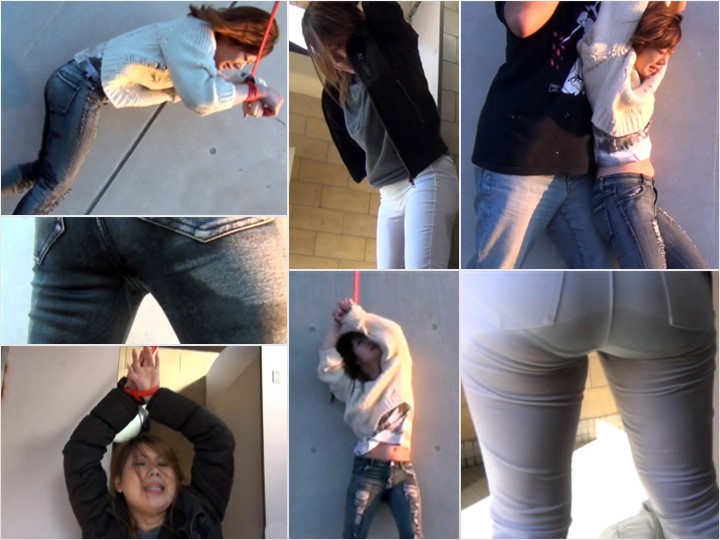 PissJapanTV pjt_23339-11-def-1 PISS UP A LADDER