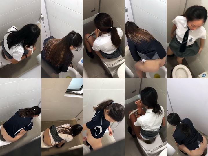 Electronics Factory Toilet 12