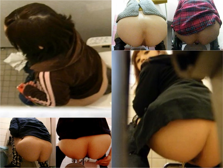 28103840 japanese toilet style No.100