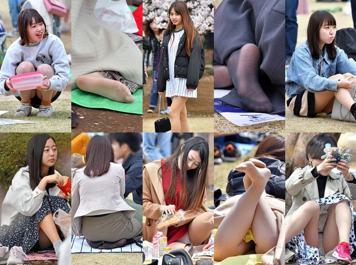  vol.532：2019年 お花見特集 第６弾