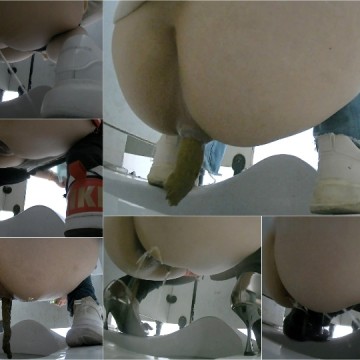 Shopping_Mall_Toilet_8