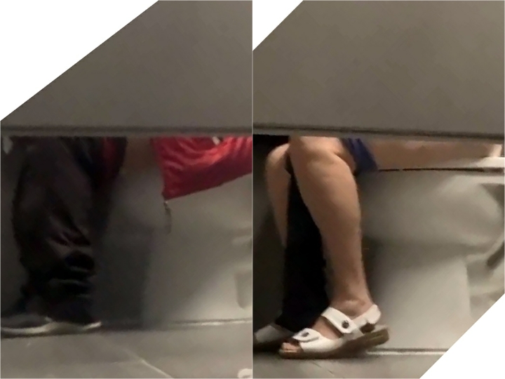 Shopping_Mall_Public_Toilet_Understall