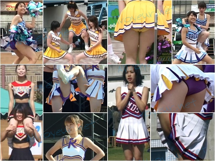 チア143, 伸縮の差 113枚 プロ機材 期間限定販売