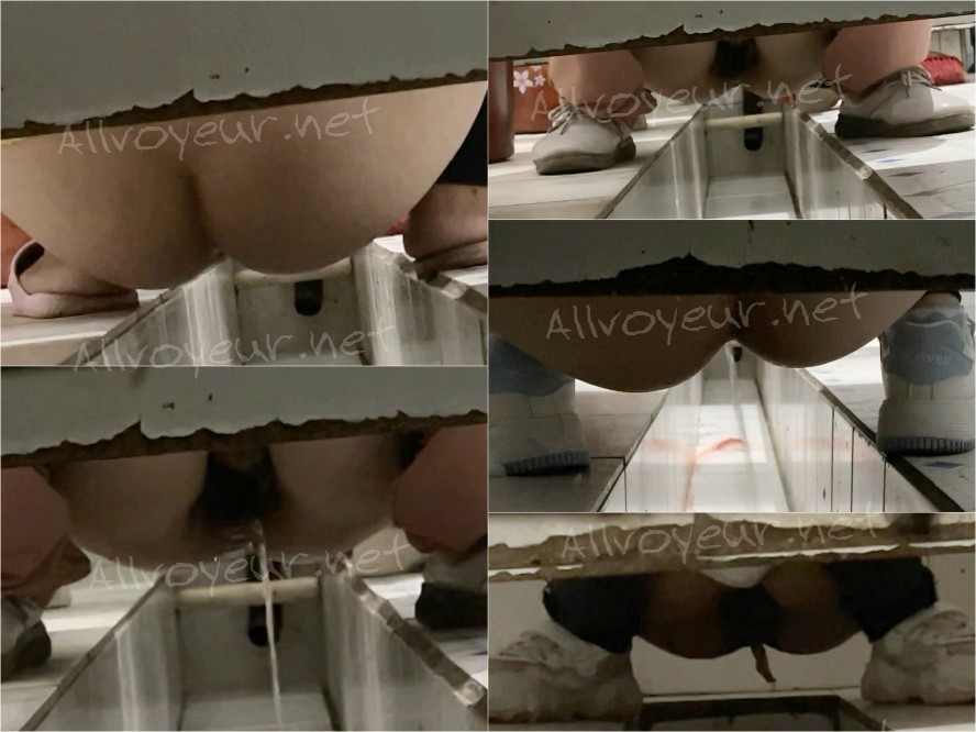 【トイレ撮影】パノラマ前後デュアルアングル 極上パイパン痴女（2）21V