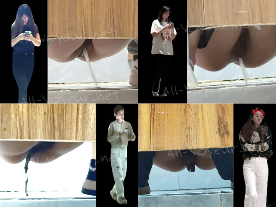 【トイレ撮影】手持ち撮影 女性のうんちとおしっこを多数収録 150V