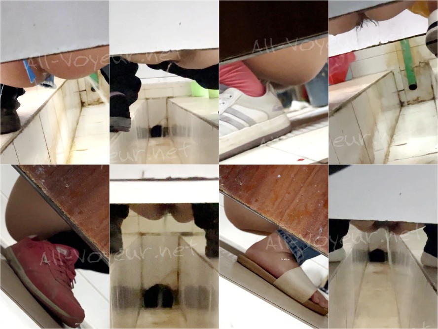 【重口厕拍】女拍手沟式旱厕偷拍-满屏大便 拉稀第20期[某房原版]