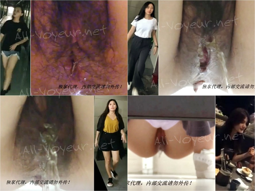 China Toilet Voyeur sifangktv 2203-2205