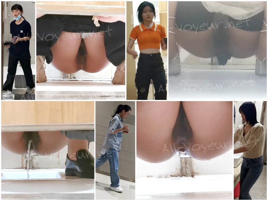 China Toilet Voyeur sifangktv 2456-2458