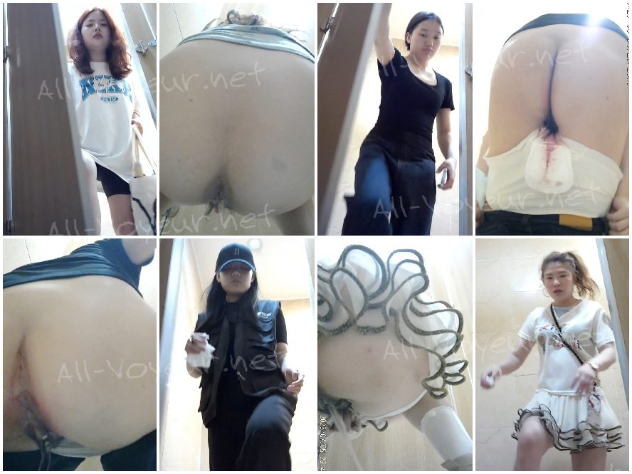 後に撮影された複数のシーン、多くの美しい菊（2）40V