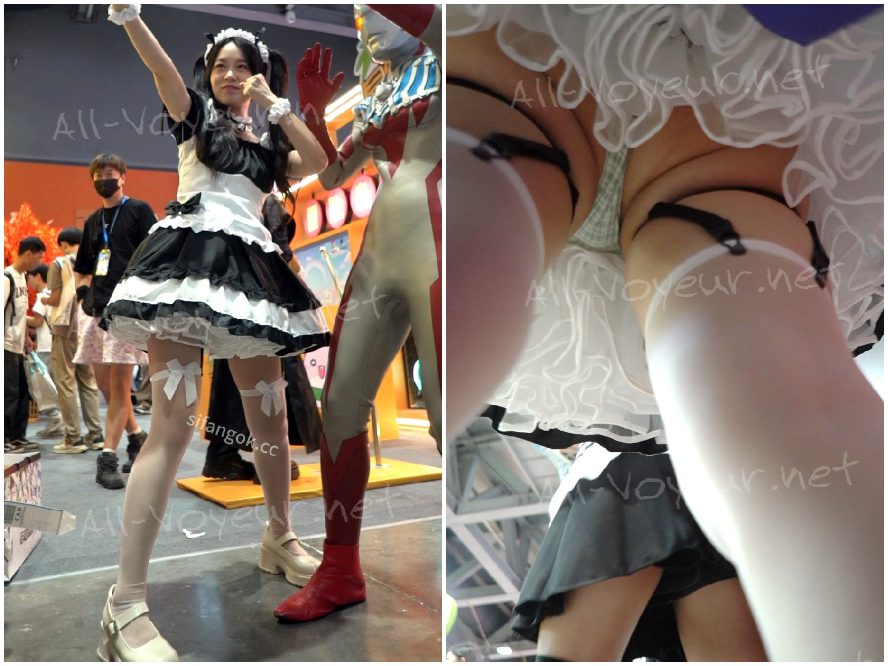 ワルツ 2024 シリーズ - 11JK ホワイトシルクとホワイト裏地