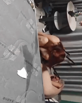 2001年に山東省沂水市で生まれた若い女性が、1986年生まれの男性と浮気をしているところを捕まった。男性はひどく殴打され、頭が豚のように腫れ上がった。