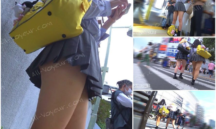 NICHE VIEW vol.150【下着はやっぱり白が至高】